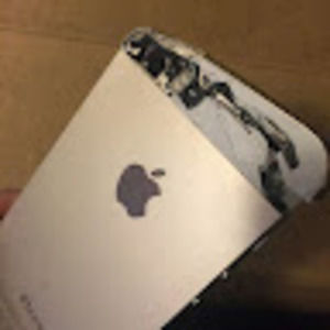 Meet your Posher, Gregory